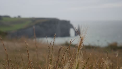 Etretat-from-the-distance-during-a-cloudy-day-in-France